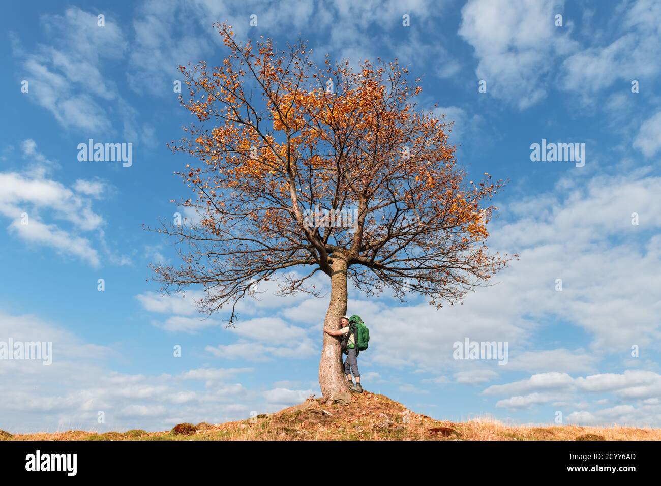 Turista bajo el majestuoso árbol naranja en el valle de la montaña de otoño. Espectacular colorido escenario de otoño con cielo azul nublado. Fotografía de paisajes Foto de stock
