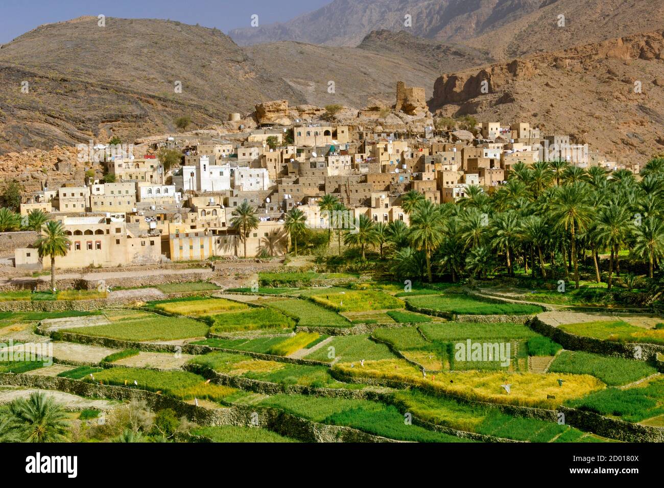 El pueblo de Bilad Seet y sus plantaciones en Wadi Bani Auf en las montañas Jebel Akhdar de Omán. Foto de stock