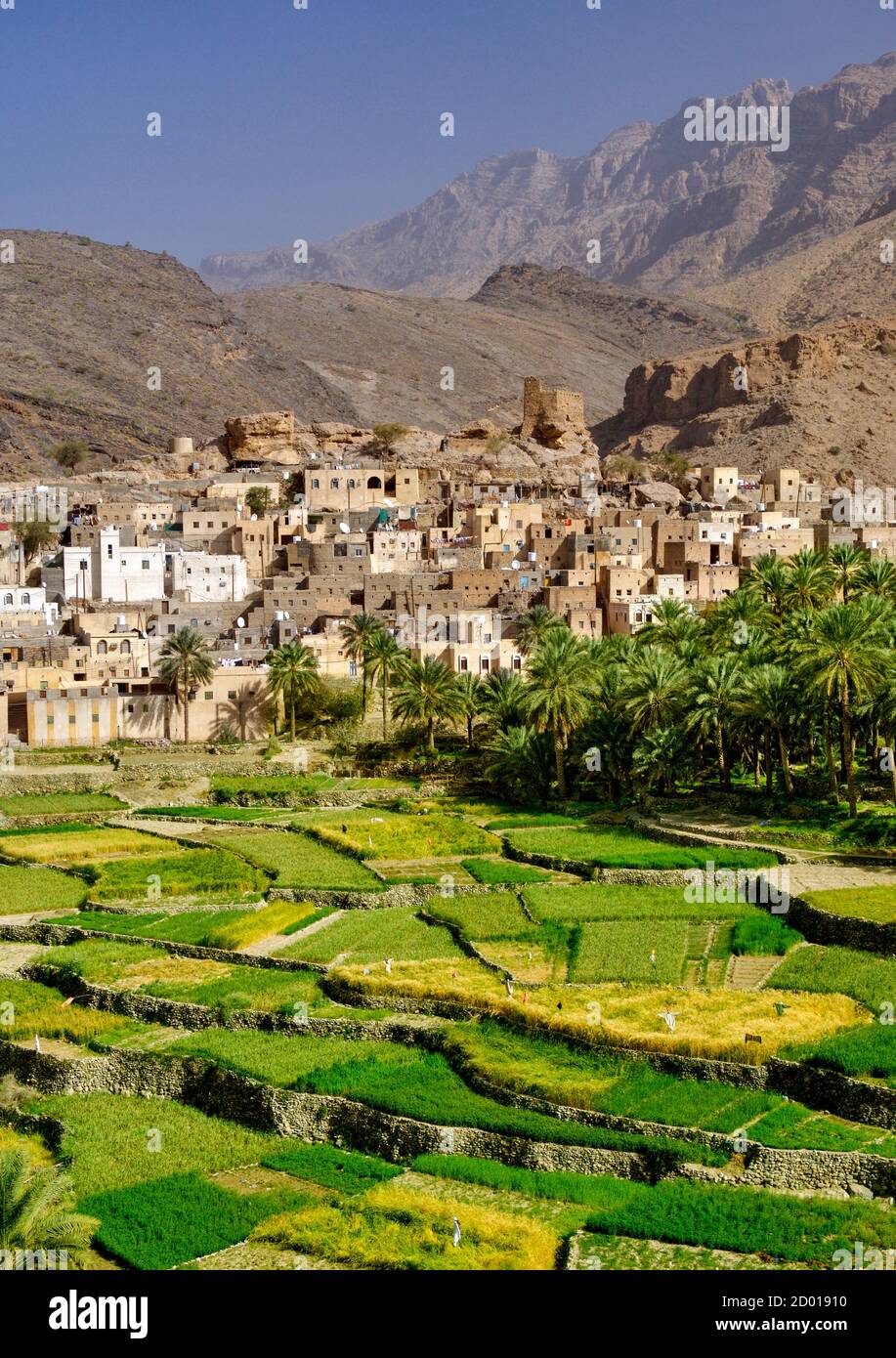 El pueblo de Bilad Seet y sus plantaciones en Wadi Bani Auf en las montañas Jebel Akhdar de Omán. Foto de stock