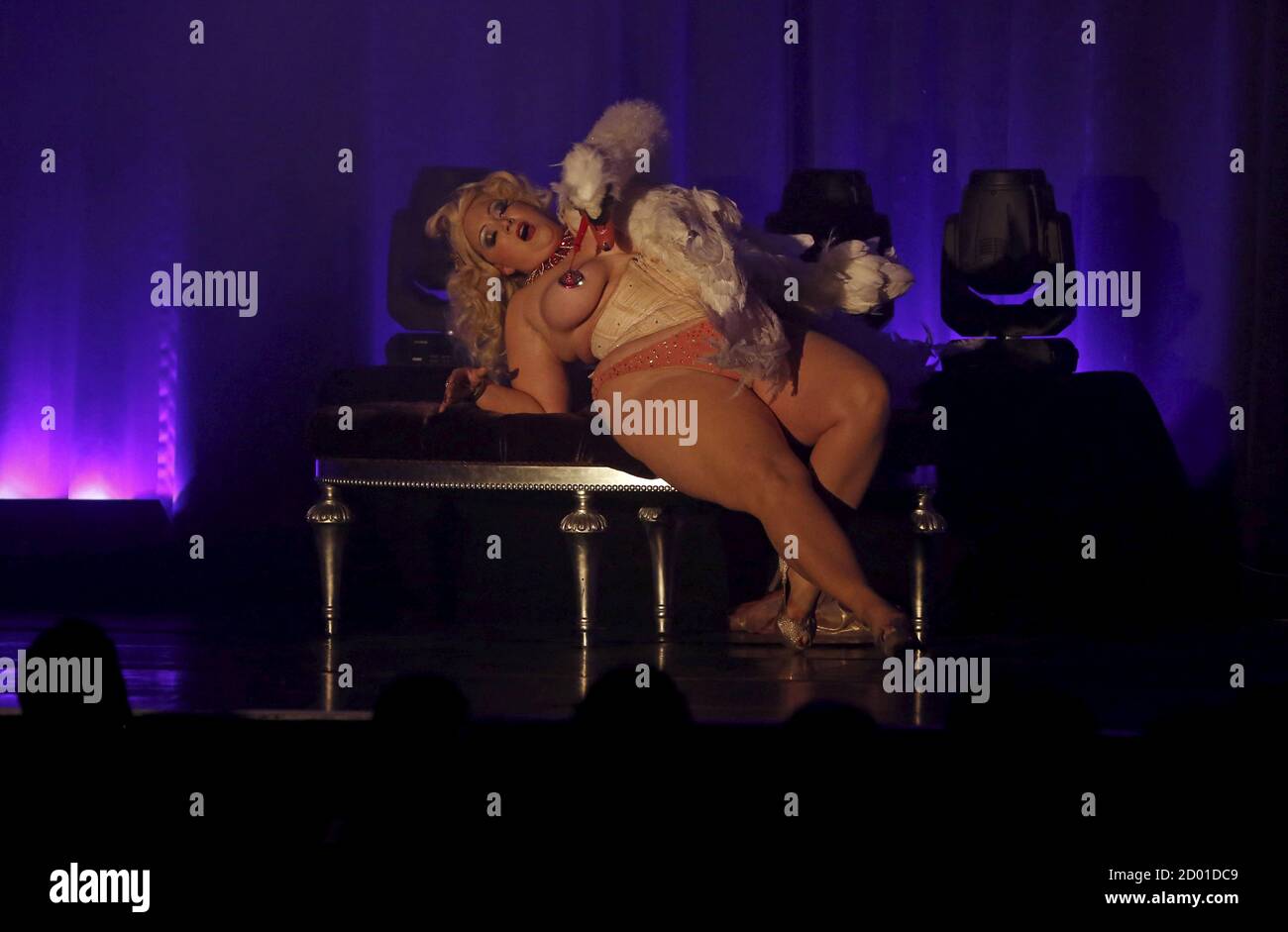 El artista de burlesque Dirty Martini de los EE.UU. Actúa en el escenario durante la 'Twirling dirndl Burlesque Gala' en el Boylesque Festival en Viena, Austria, el 14 de mayo de 2015. Foto tomada el 14 de mayo de 2015. REUTERS/Leonhard Foeger Foto de stock