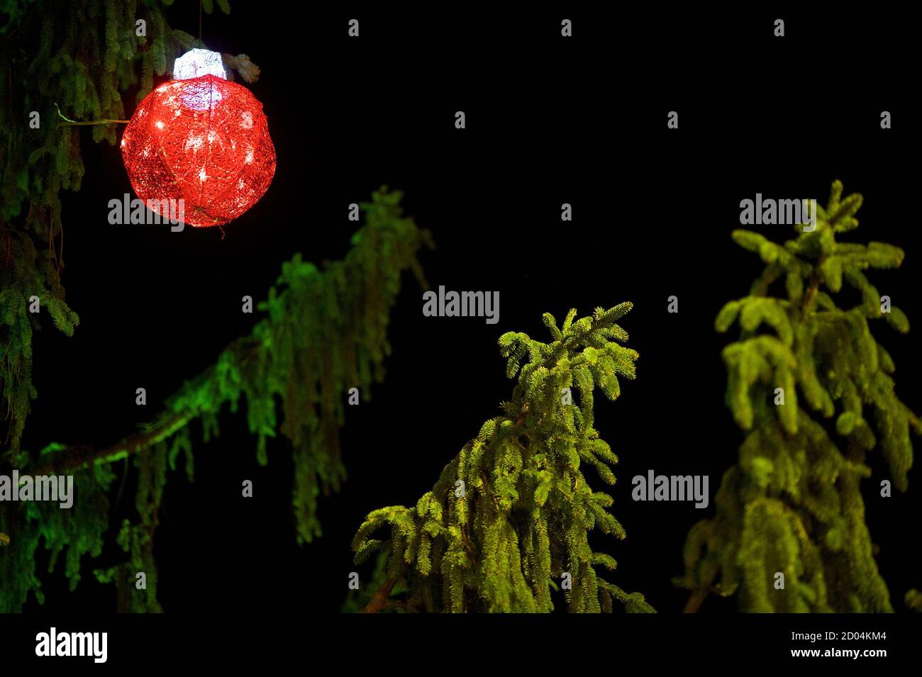 A single red bulb decorates a scraggly Christmas tree following a ceremony  in Reading, Pennsylvania with on December 7, 2014. A ceremony to decorate  the scraggly Christmas tree in Reading, Pennsylvania with