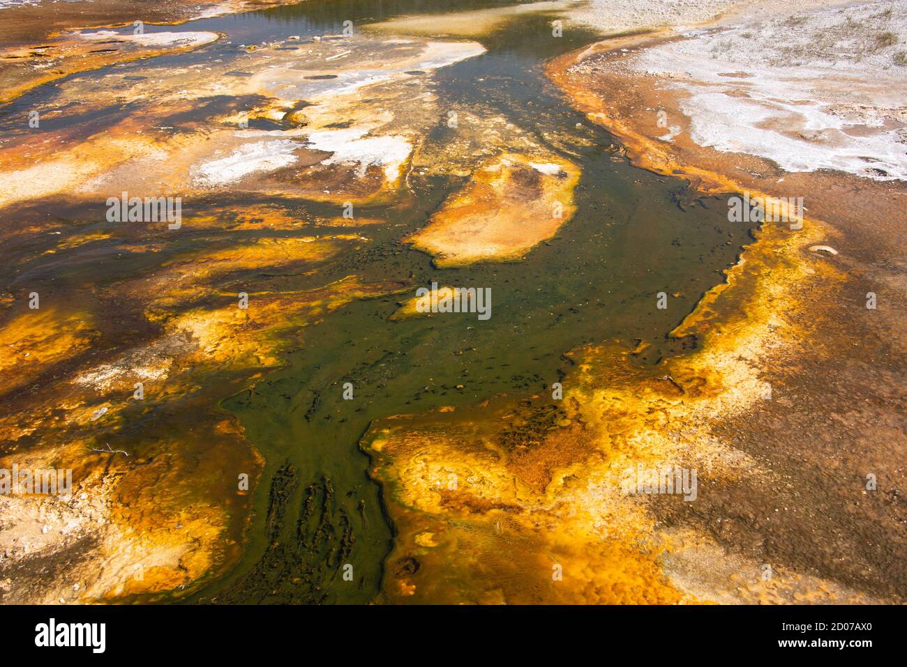 Colchoneta bacteriana, Cuenca del Geyser Superior, Parque Nacional Yellowstone, Wyoming, EE.UU Foto de stock