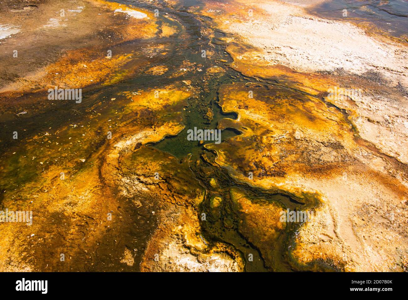 Colchoneta bacteriana, Cuenca del Geyser Superior, Parque Nacional Yellowstone, Wyoming, EE.UU Foto de stock