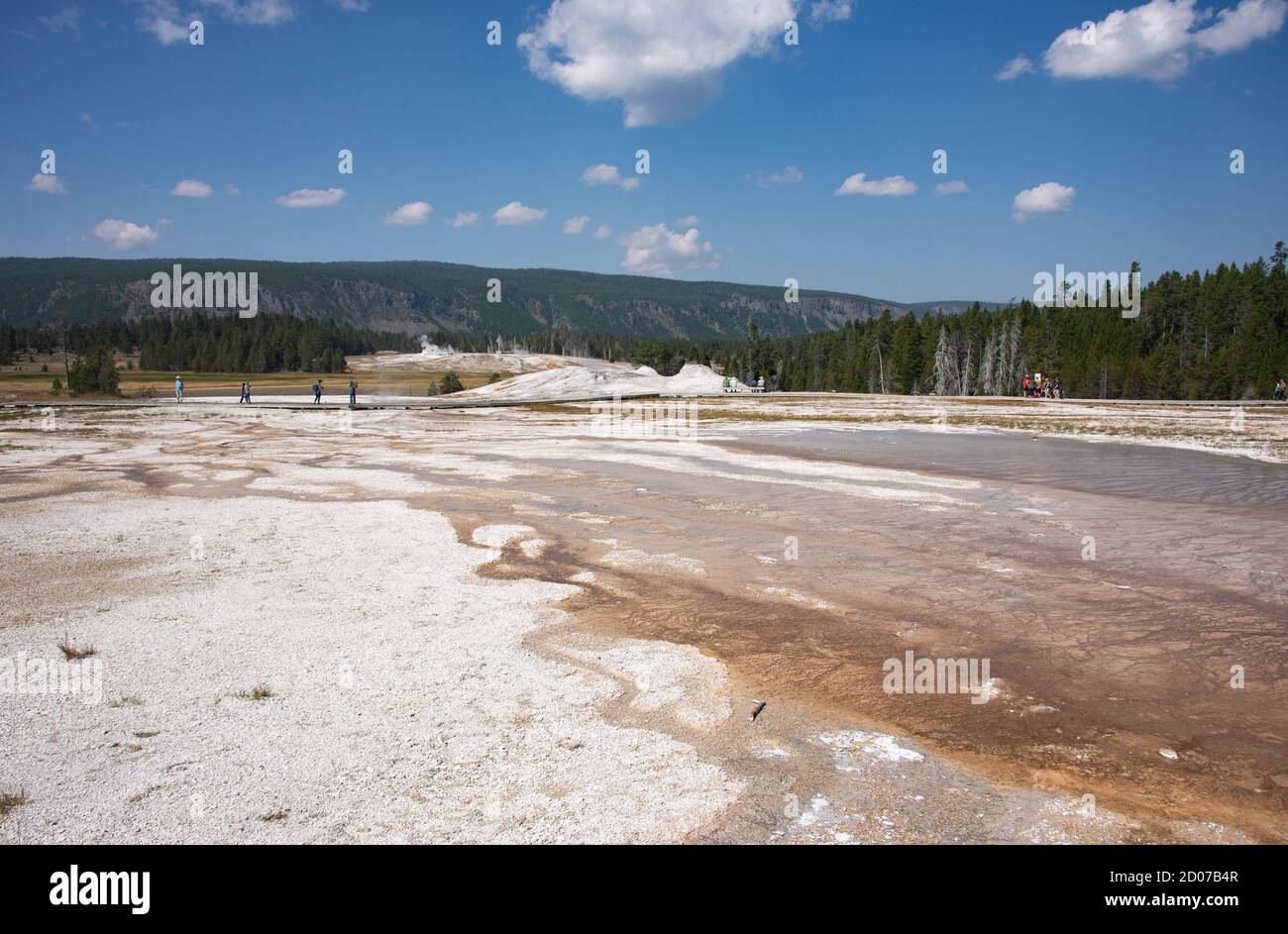 Colchoneta bacteriana, Cuenca del Geyser Superior, Parque Nacional Yellowstone, Wyoming, EE.UU Foto de stock