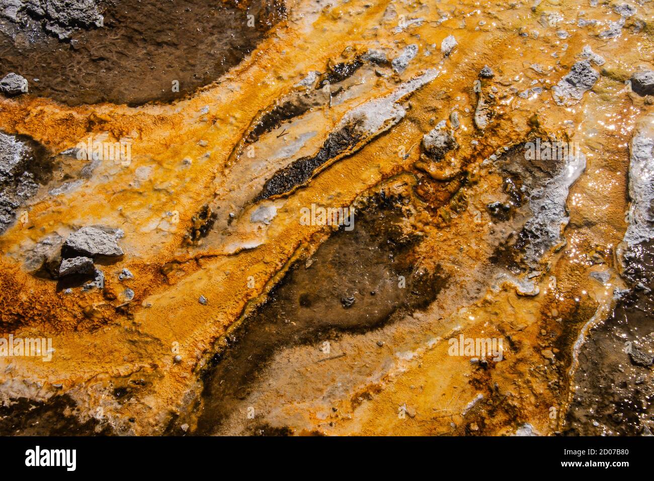 Colchoneta bacteriana, Cuenca del Geyser Superior, Parque Nacional Yellowstone, Wyoming, EE.UU Foto de stock