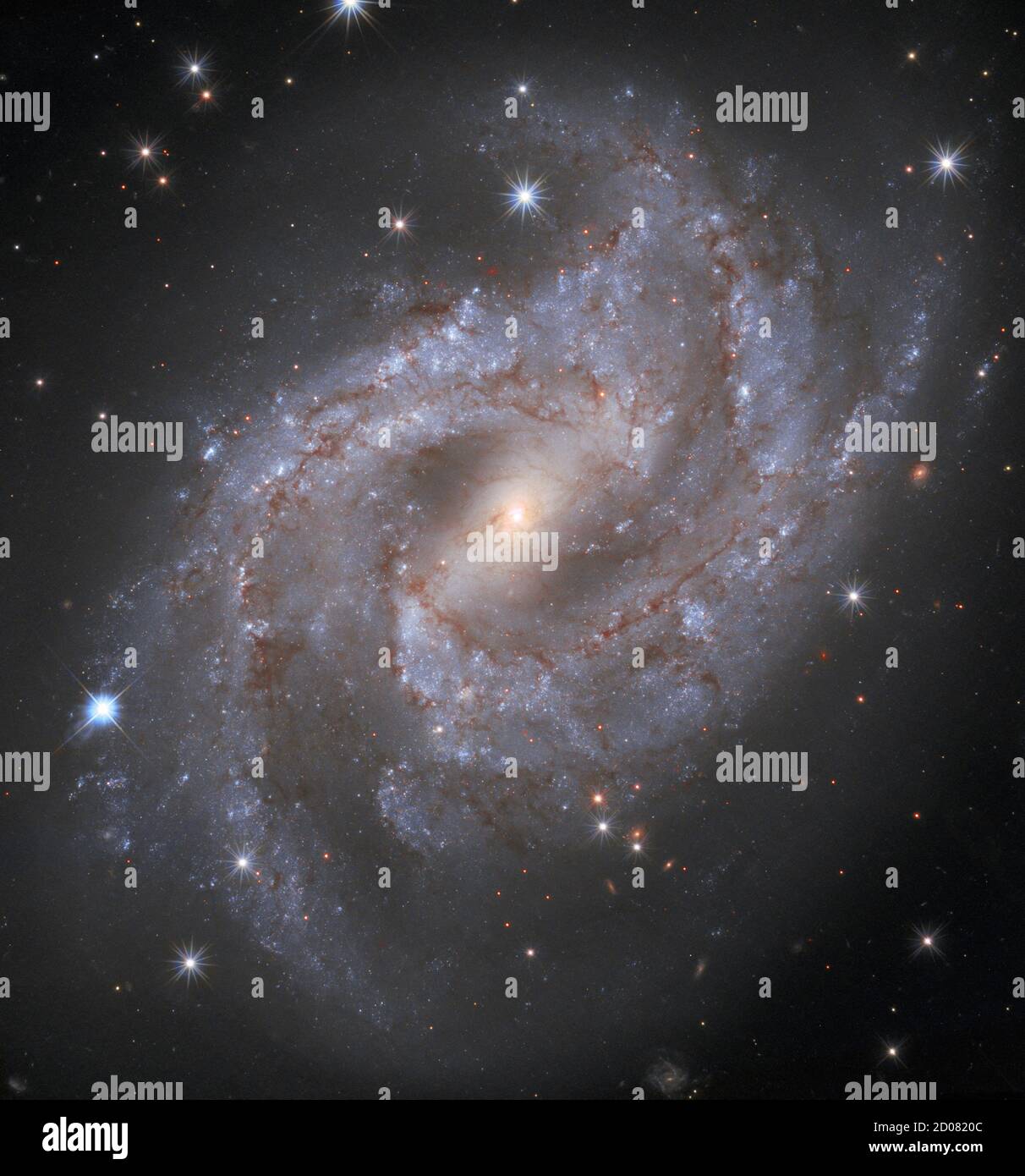 En la foto, en una imagen lanzada el 1 de octubre de 2020, se encuentra la cautivadora galaxia NGC 2525. Ubicada a casi 70 millones de años luz de la Tierra, esta galaxia es parte de la constelación de Puppis en el hemisferio sur. Junto con las constelaciones Carina y vela, constituye una imagen del Argo de la antigua mitología griega. Otro tipo de monstruo, un agujero negro supermasivo, acecha en el centro de NGC 2525. Casi cada galaxia contiene un agujero negro supermasivo, que puede variar en masa de cientos de miles a miles de millones de veces la masa del Sol. El Hubble ha capturado una serie de yo Foto de stock