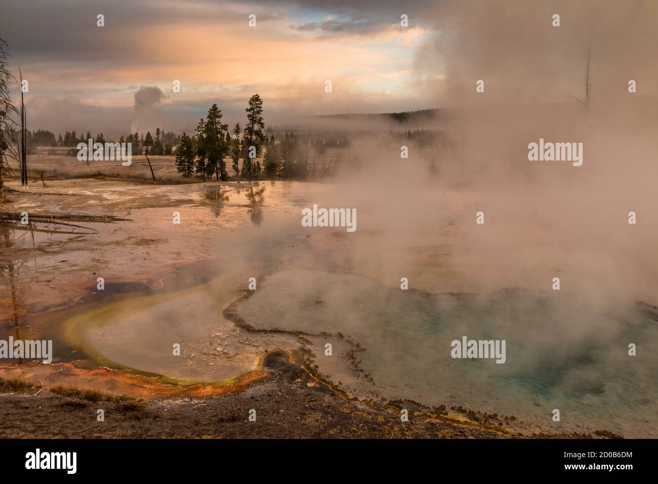 Otoño y cuadros de invierno de paisajes y animales en Yellowstone Parque Nacional en Wyoming, Estados Unidos Foto de stock