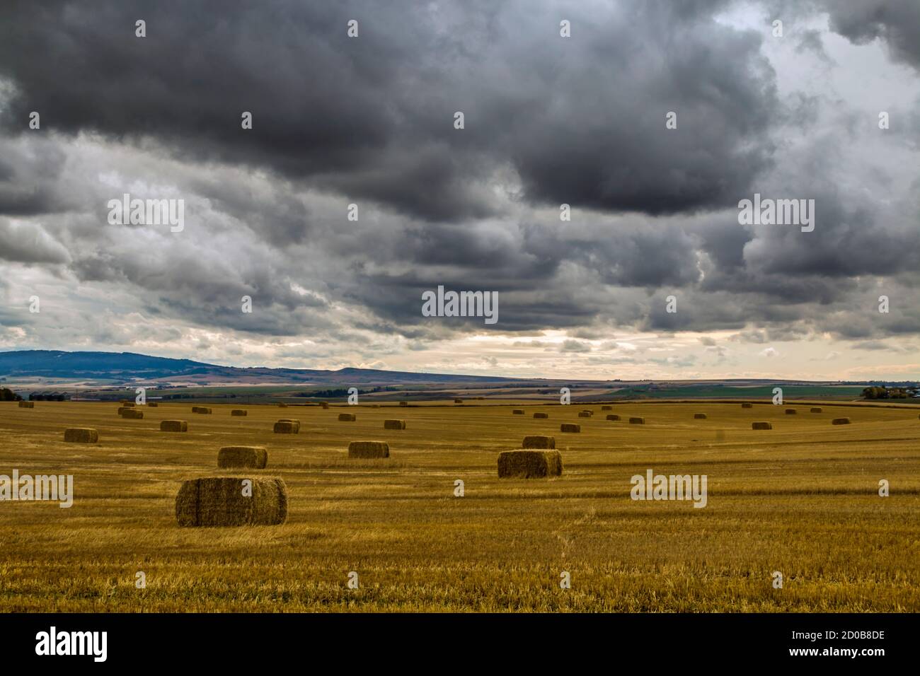 Otoño y cuadros de invierno de paisajes y animales en Yellowstone Parque Nacional en Wyoming, Estados Unidos Foto de stock