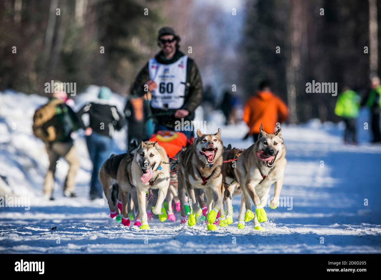 El equipo de Alex Buetow cobra por la calle más allá de la puerta de salida  durante el reinicio oficial de la carrera de trineo de perros Iditarod en  Willow, Alaska, 2