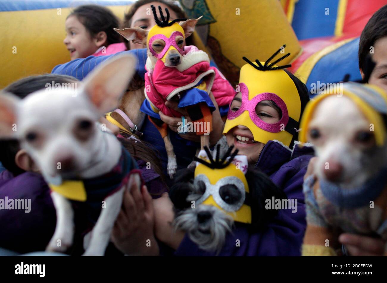 Los niños posan con sus perros durante una fiesta de cumpleaños para el  perro de raza Chihuahua de dos años llamado Barbie (parte superior central)  en Monterrey 8 de febrero de 2014.