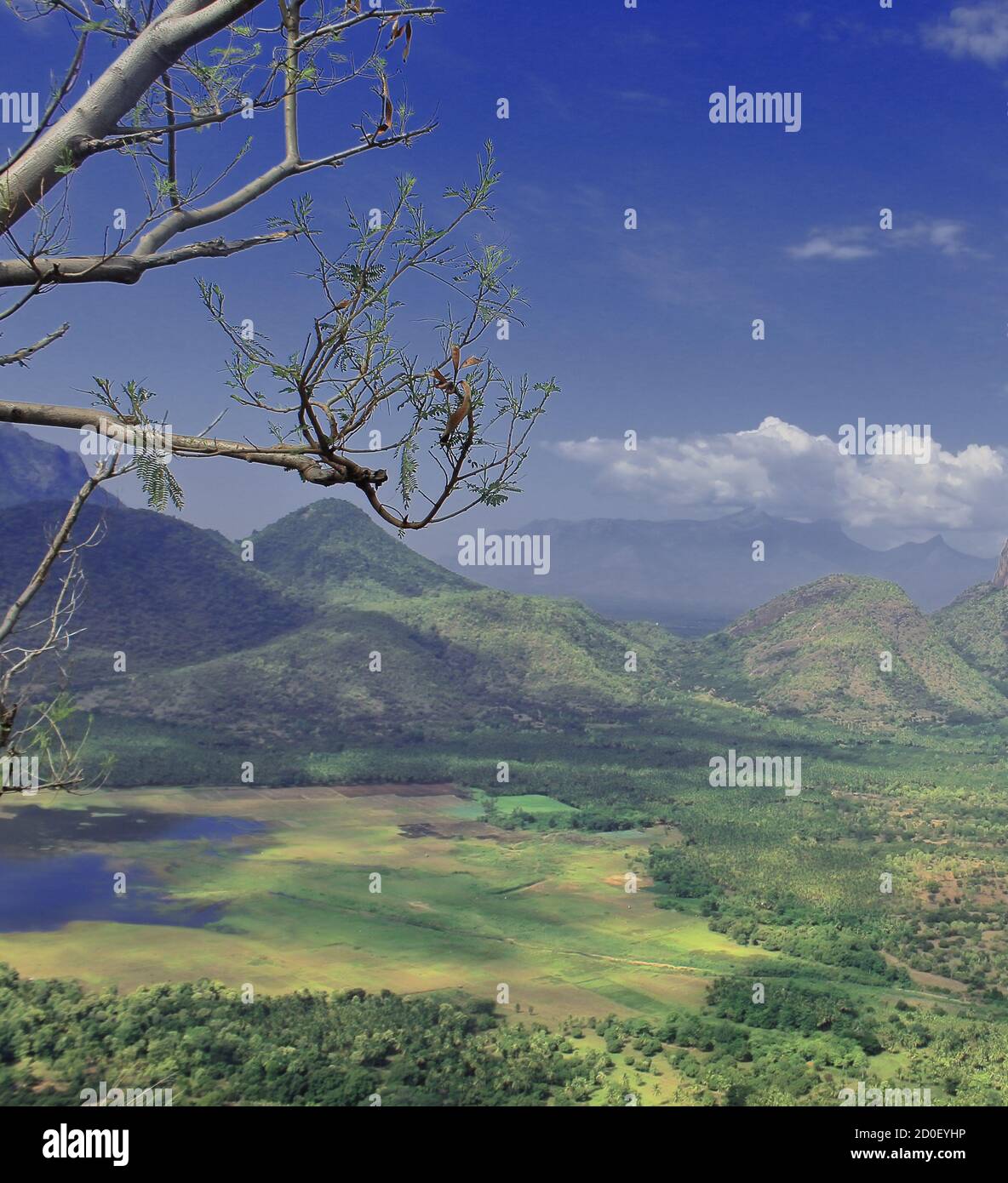 paisaje escénico de las colinas de palani, valle verde y la presa de manjalar vista desde un punto de vista en kodaikanal en tamilnadu, sur de la india Foto de stock