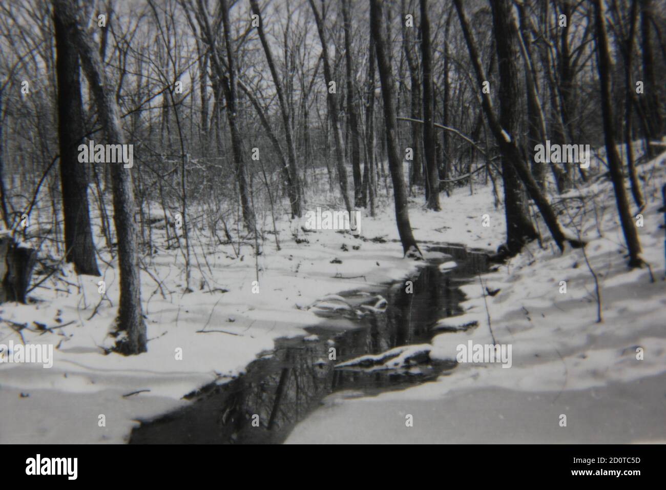 Fotografía en blanco y negro de la época de los años 70 de un paisaje nevado de invierno en las profundas maderas y lejos de todo. Foto de stock