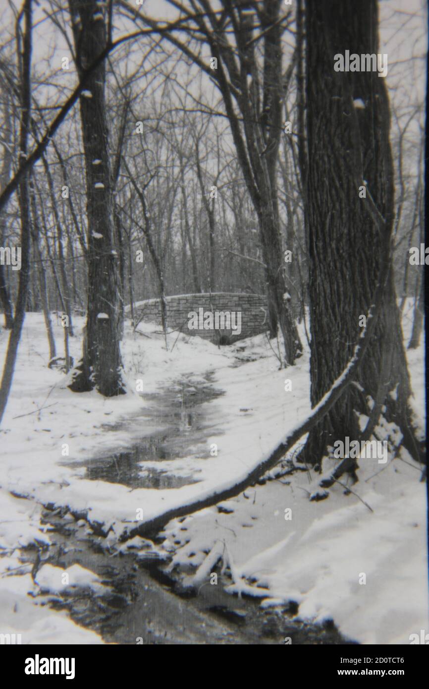 Fotografía en blanco y negro de la época de los años 70 de un paisaje nevado de invierno en las profundas maderas y lejos de todo. Foto de stock
