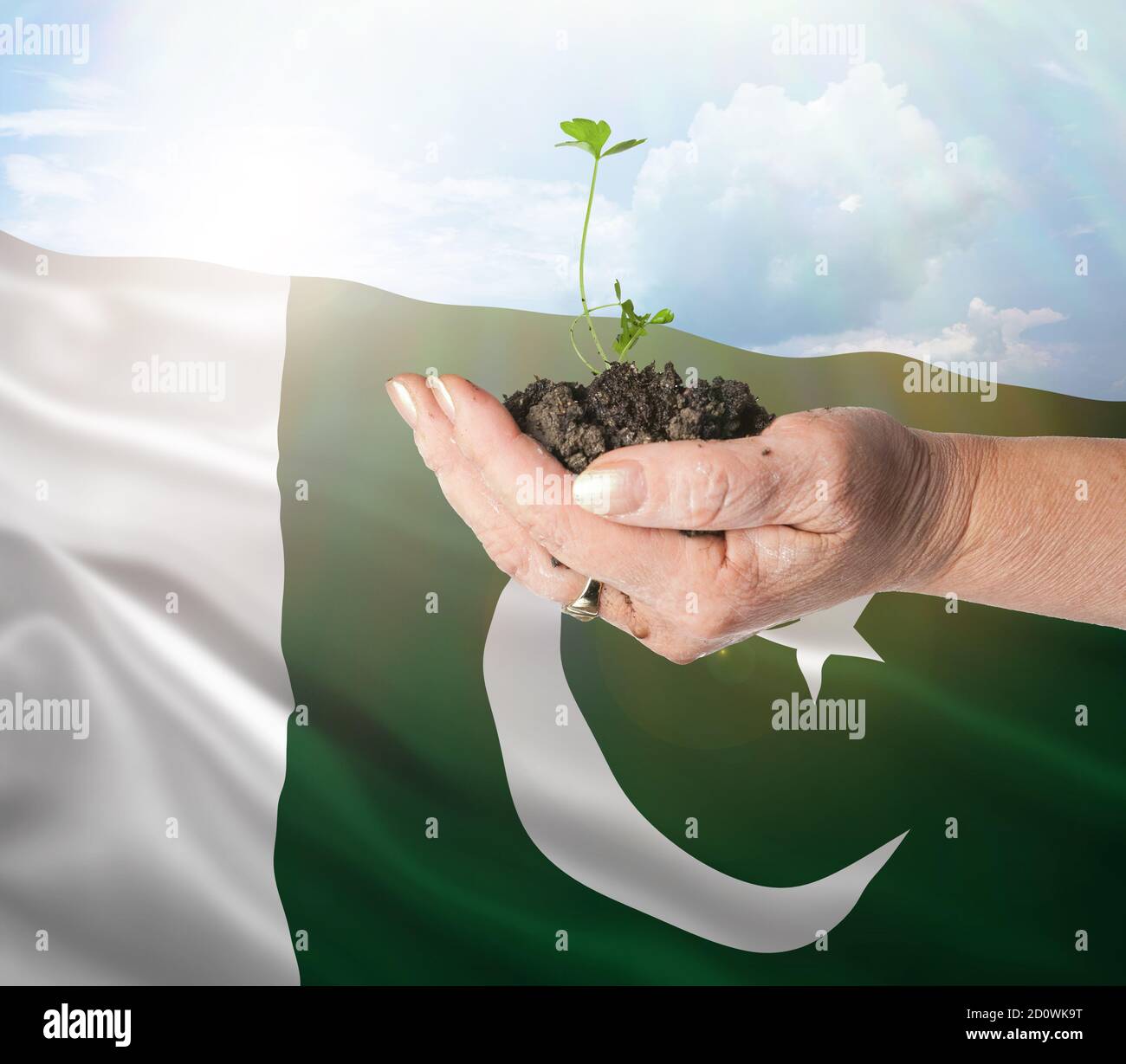 Pakistán crecimiento y nuevo comienzo. Concepto de energía renovable verde y ecología. Mano sosteniendo planta joven. Foto de stock