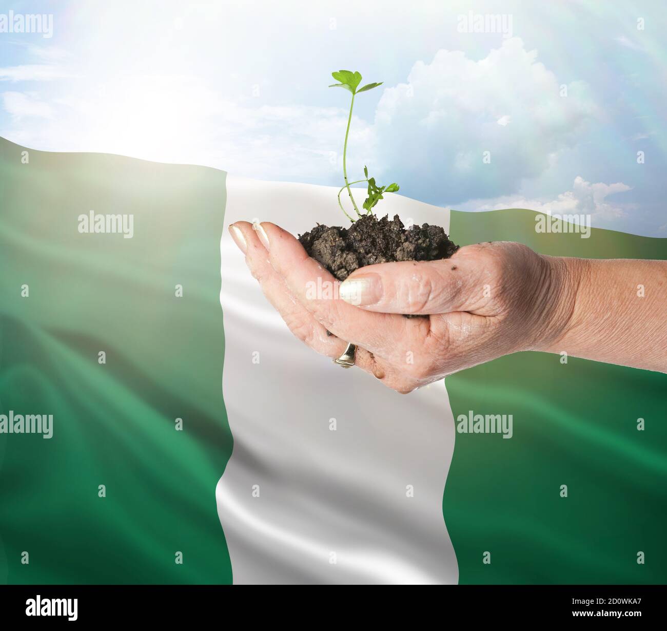 Nigeria crecimiento y nuevo comienzo. Concepto de energía renovable verde y ecología. Mano sosteniendo planta joven. Foto de stock