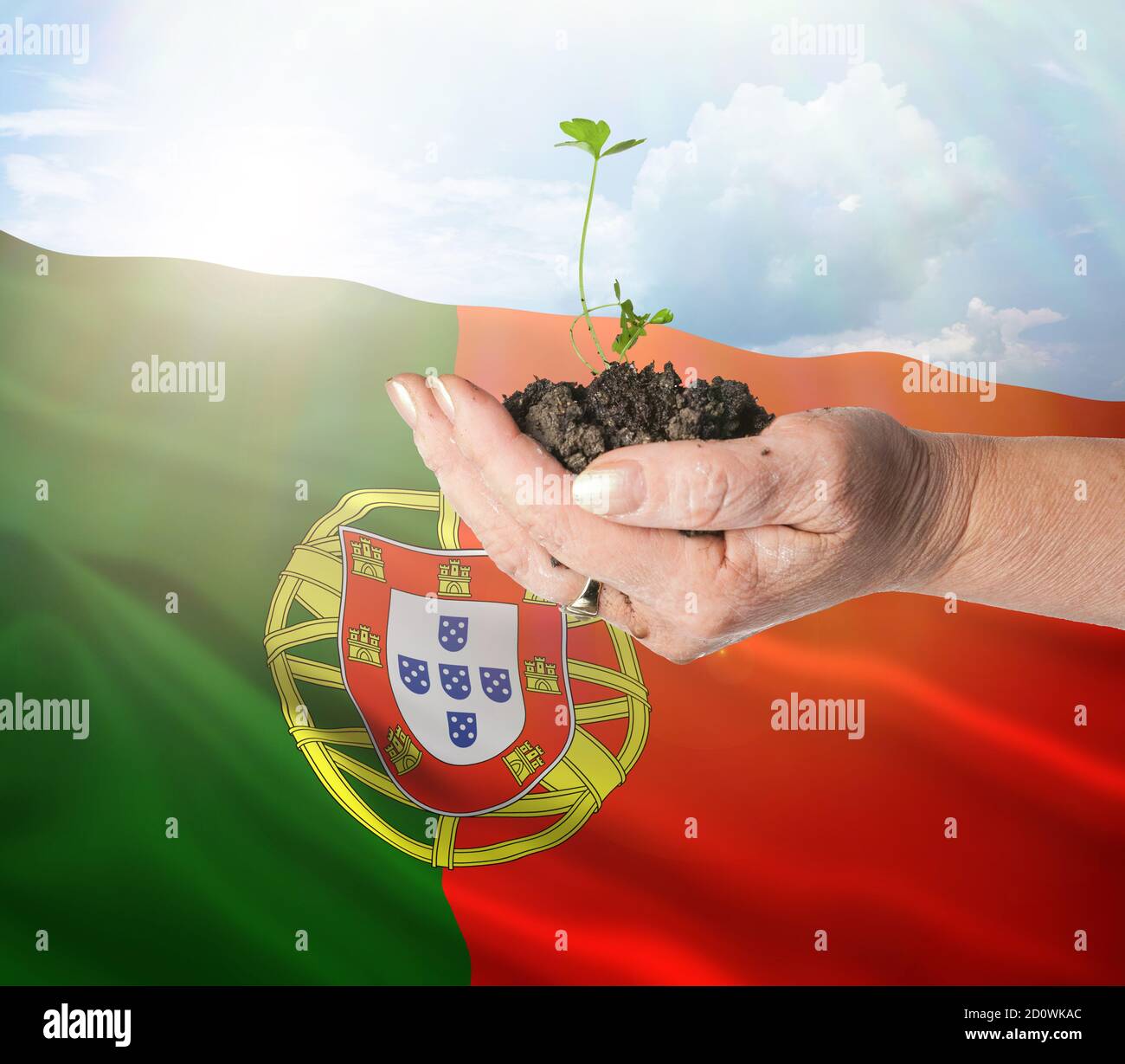 Portugal crecimiento y nuevo comienzo. Concepto de energía renovable verde y ecología. Mano sosteniendo planta joven. Foto de stock