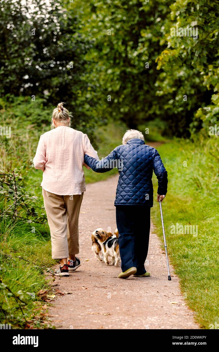Paseo de otoño por la tarde de dos mujeres, una joven y una anciana que caminan perros por un camino verde, un cuadro de amistad y cuidado para los ancianos, Foto de stock