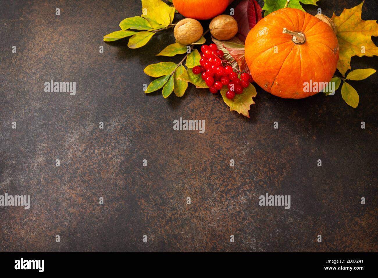 Fondo del concepto estacional. Fondo de otoño con hojas de arce de otoño, calabaza, frutos secos y bayas sobre un fondo de pizarra. Espacio de copia. Foto de stock
