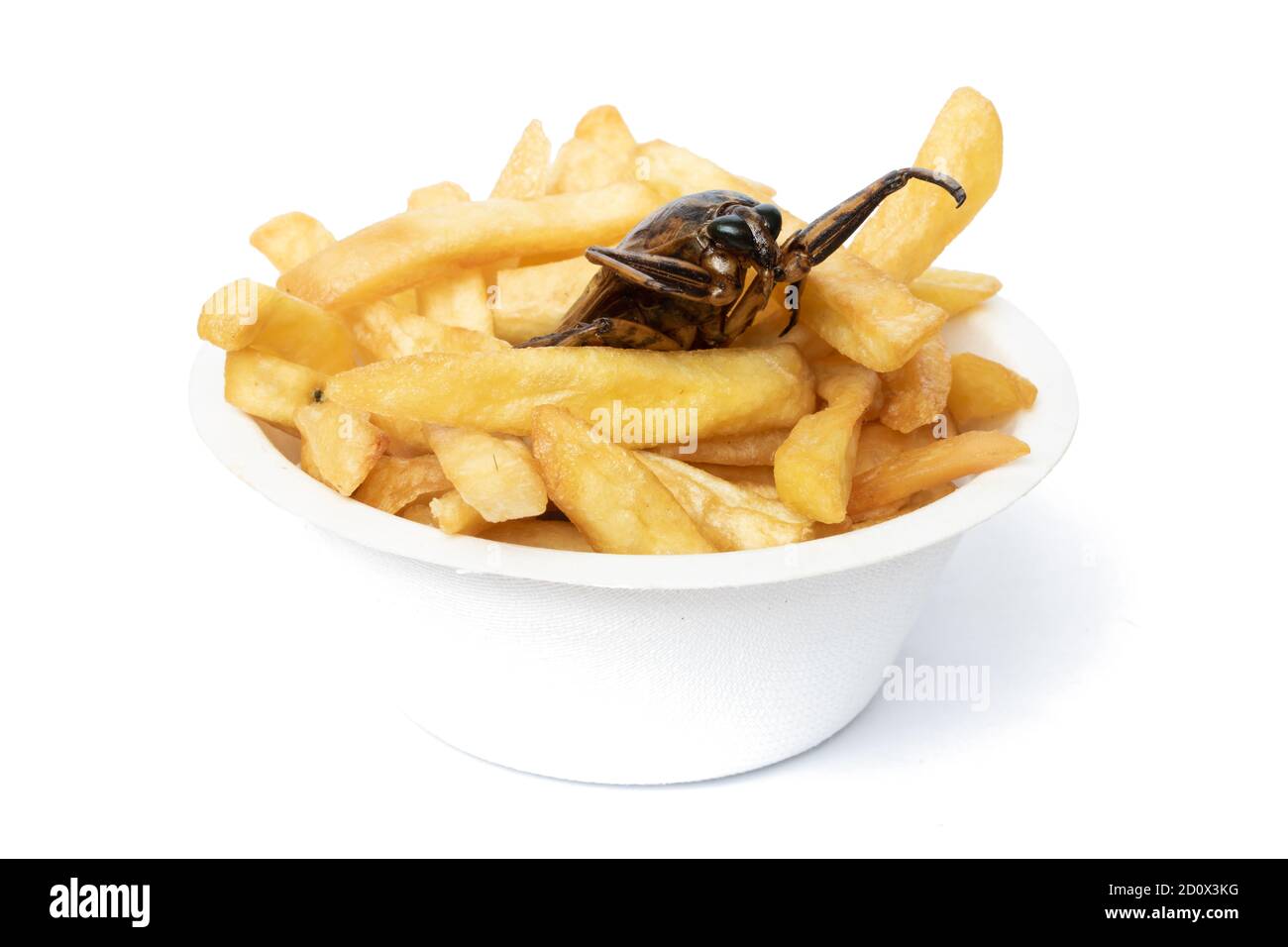 La oferta de una comida rápida con insectos comestibles. Una cucaracha frita con patatas fritas en taza. Foto de stock