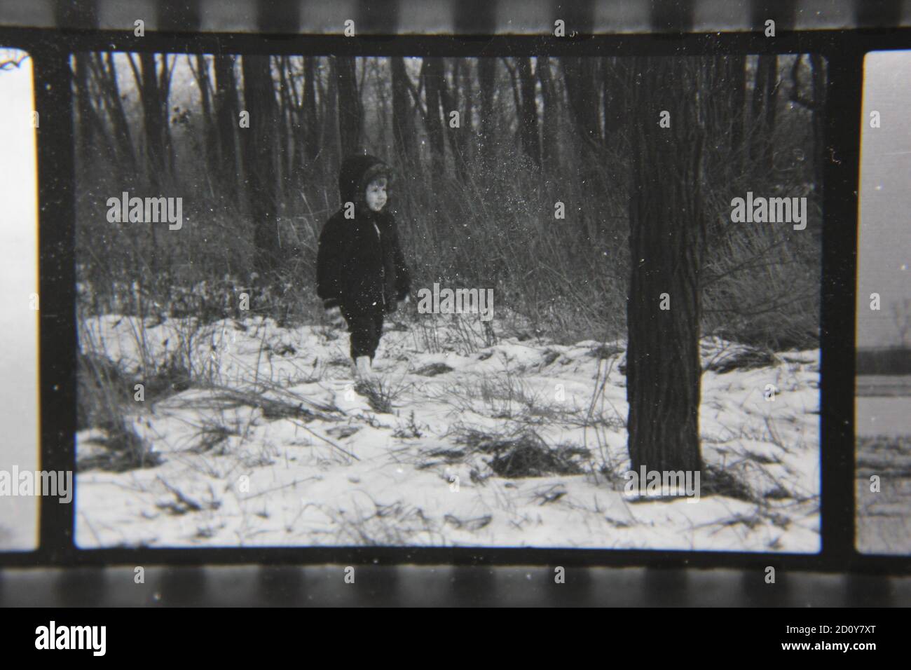 Fotografía en blanco y negro de la cosecha de la década de 1970 de una niña que camina sola en los bosques de invierno. Foto de stock