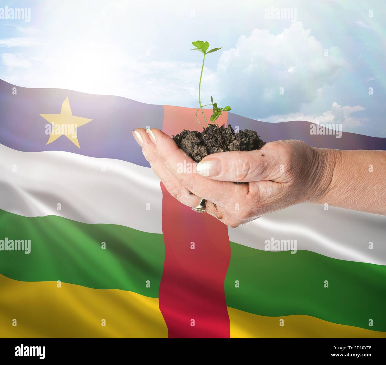 República Centroafricana crecimiento y nuevo comienzo. Concepto de energía renovable verde y ecología. Mano sosteniendo planta joven. Foto de stock