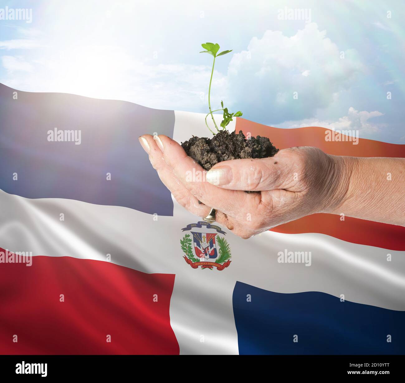 República Dominicana crecimiento y nuevo comienzo. Concepto de energía renovable verde y ecología. Mano sosteniendo planta joven. Foto de stock