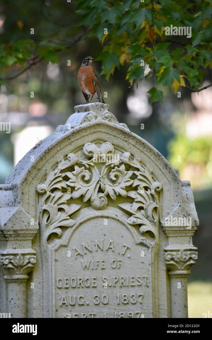 En el icónico cementerio de Mount Auburn, hogar de muchas figuras históricas Foto de stock