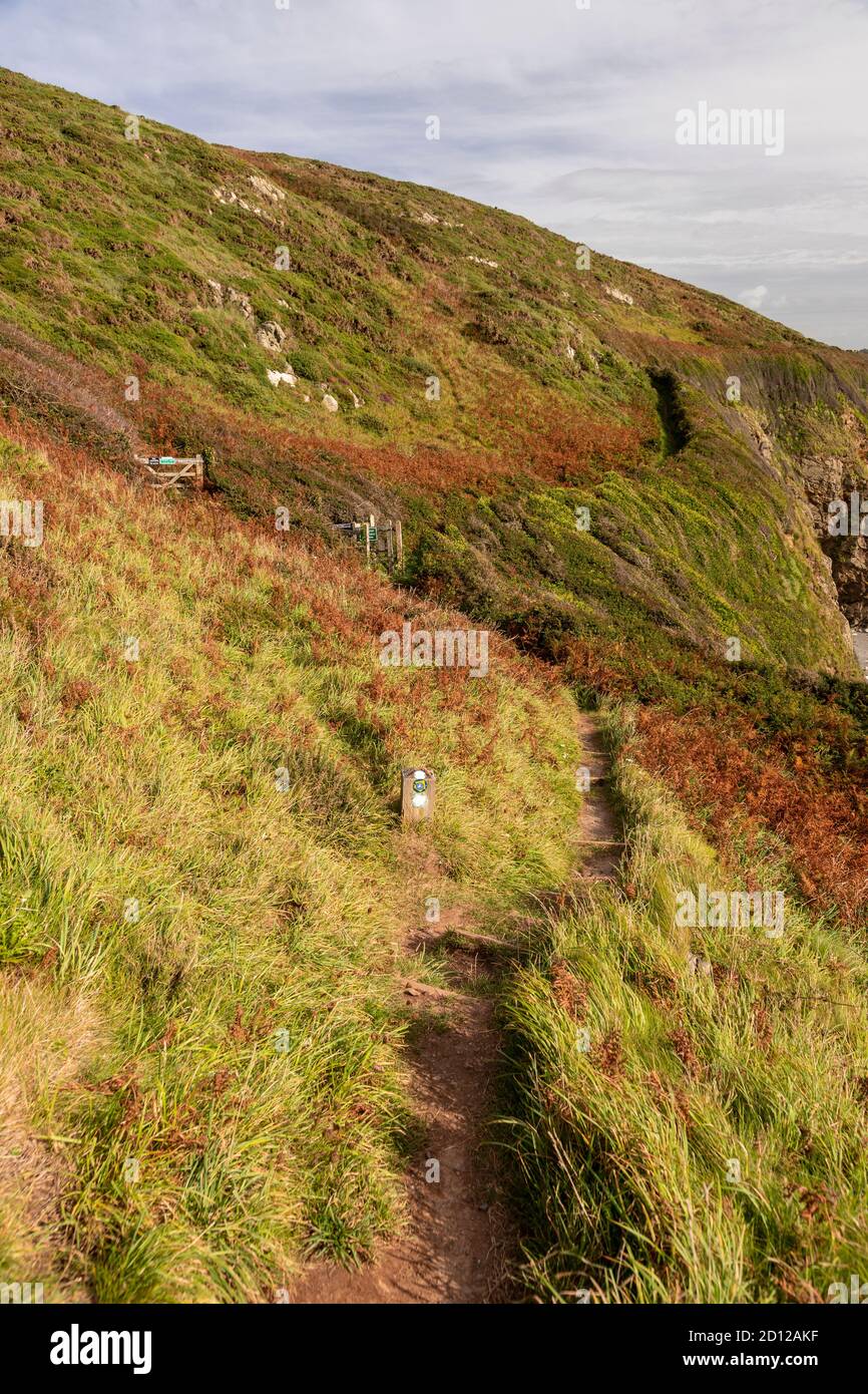 Ruta costera de Anglesey en Church Bay, Gales del Norte Foto de stock