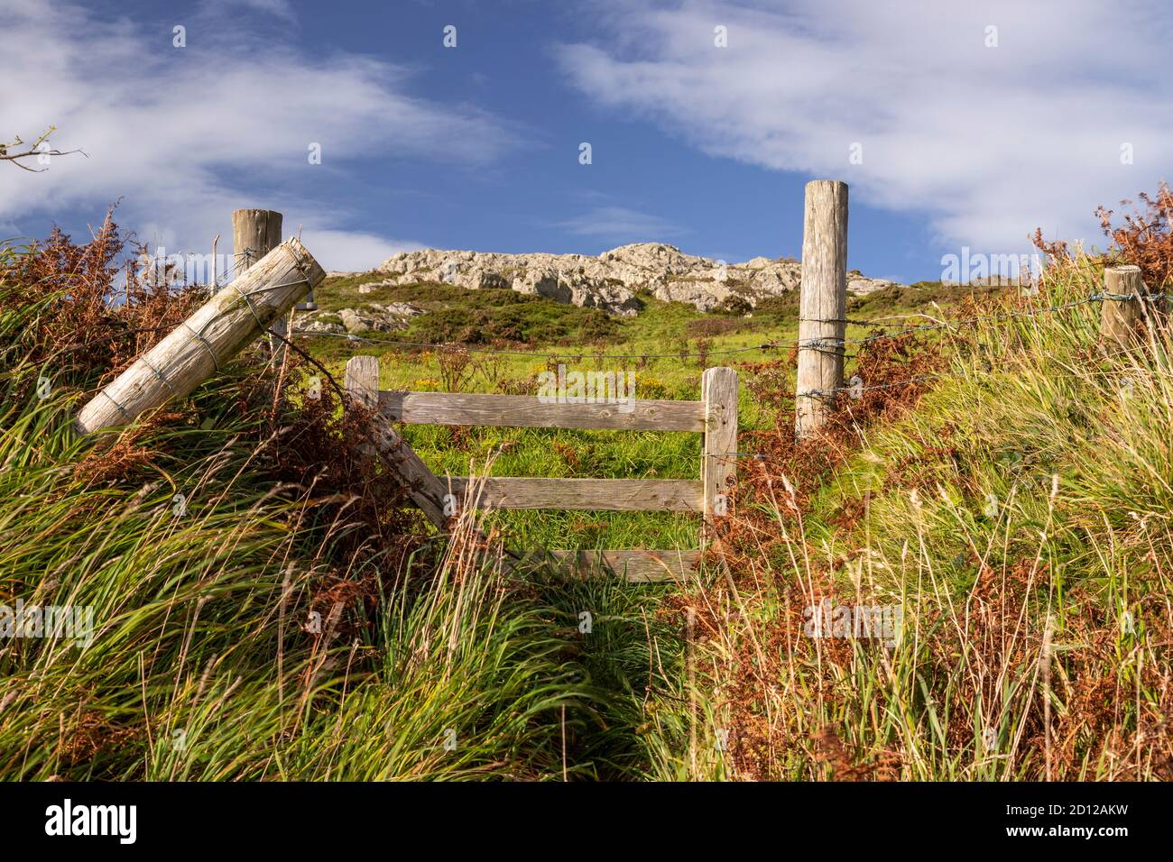 Ruta costera de Anglesey en Church Bay, Gales del Norte Foto de stock