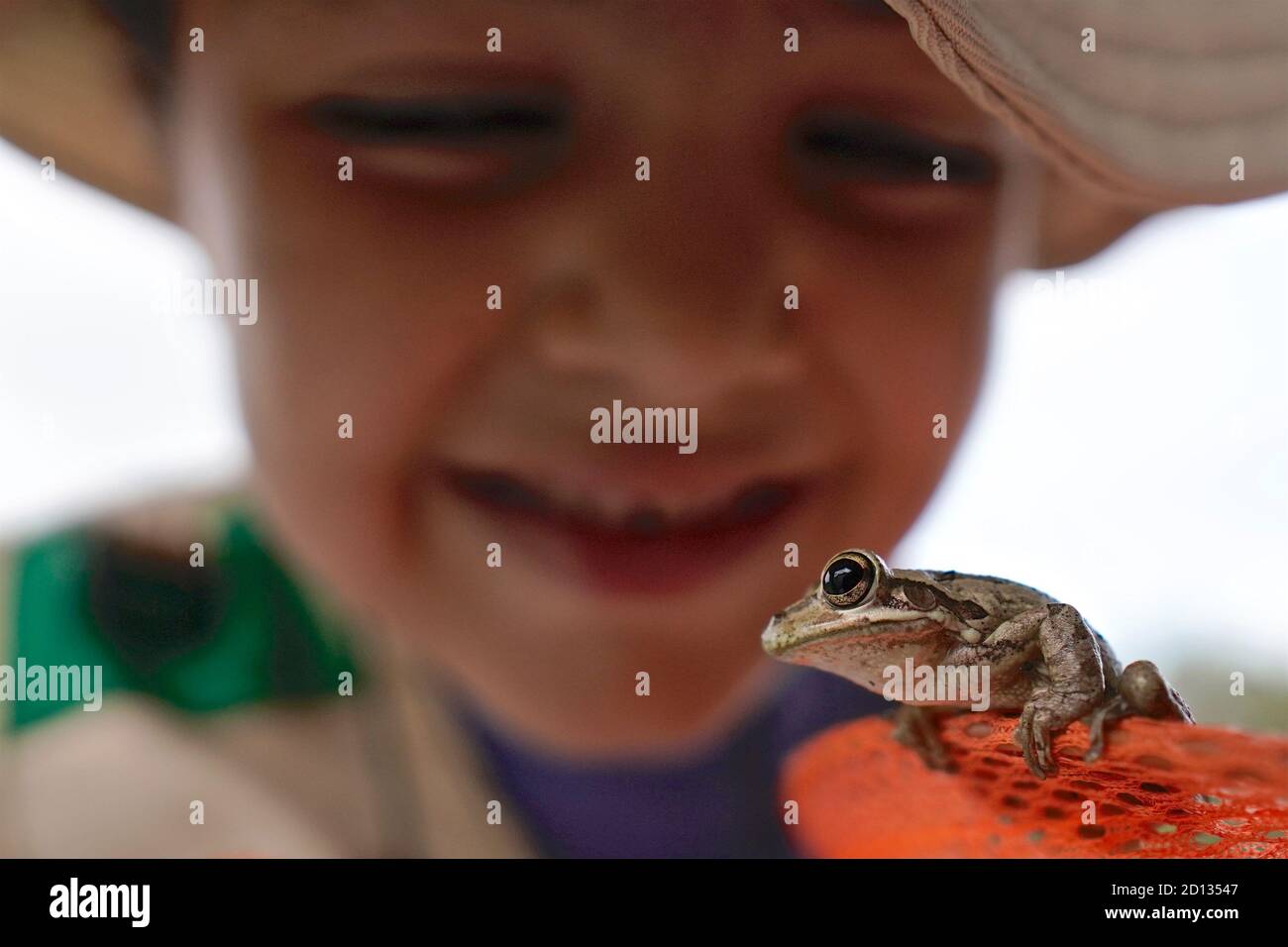 Chica mirando de cerca a una rana Foto de stock