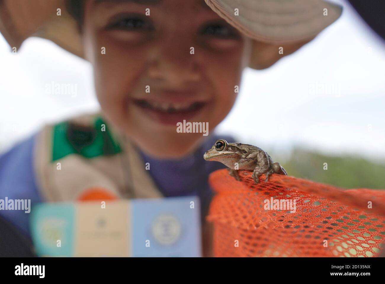 Chica mirando de cerca a una rana Foto de stock