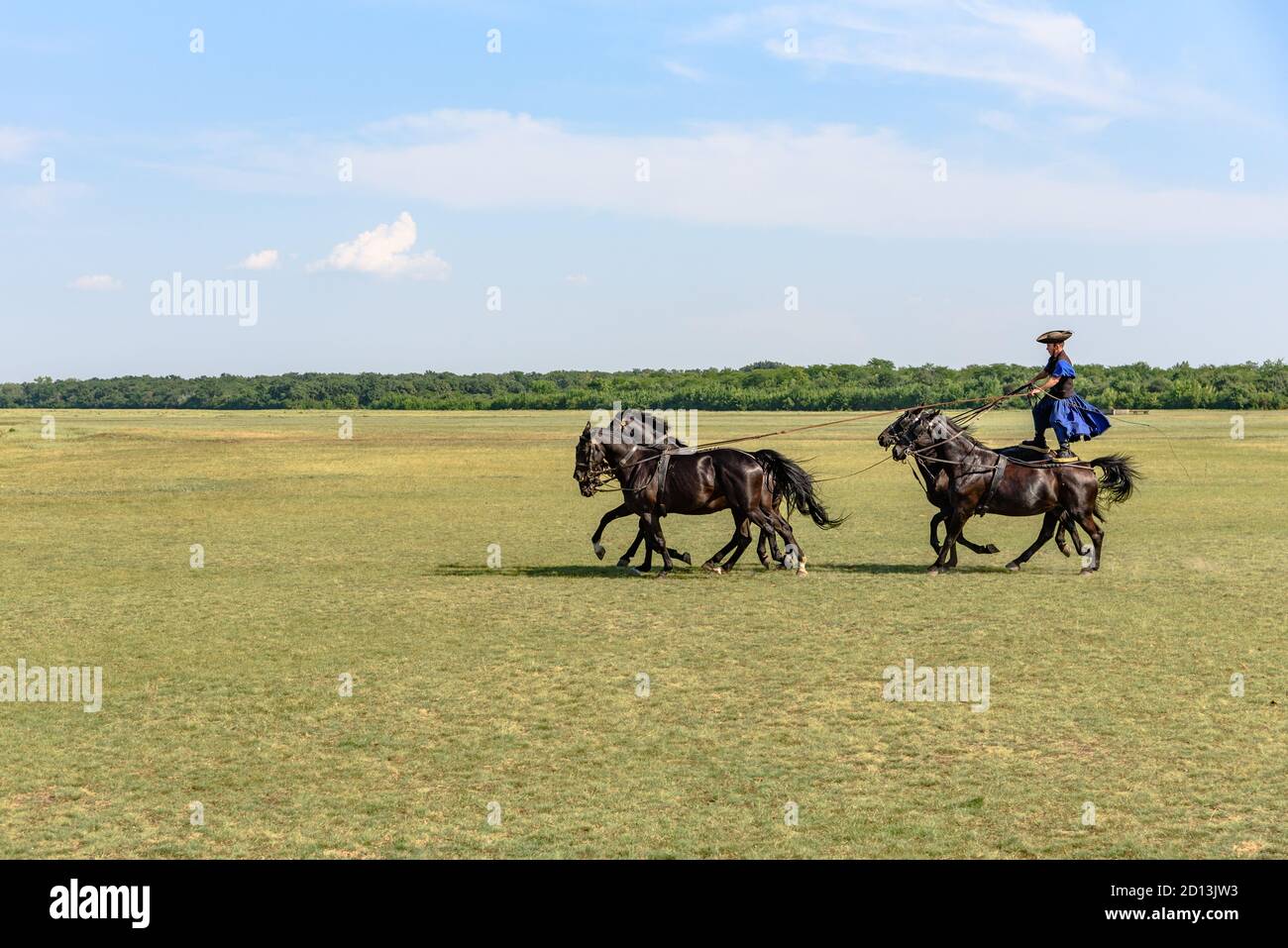 Un csikos húngaro / vaquero caballo en el Hortobagy Parque Nacional de pie en la parte trasera dos Foto de stock