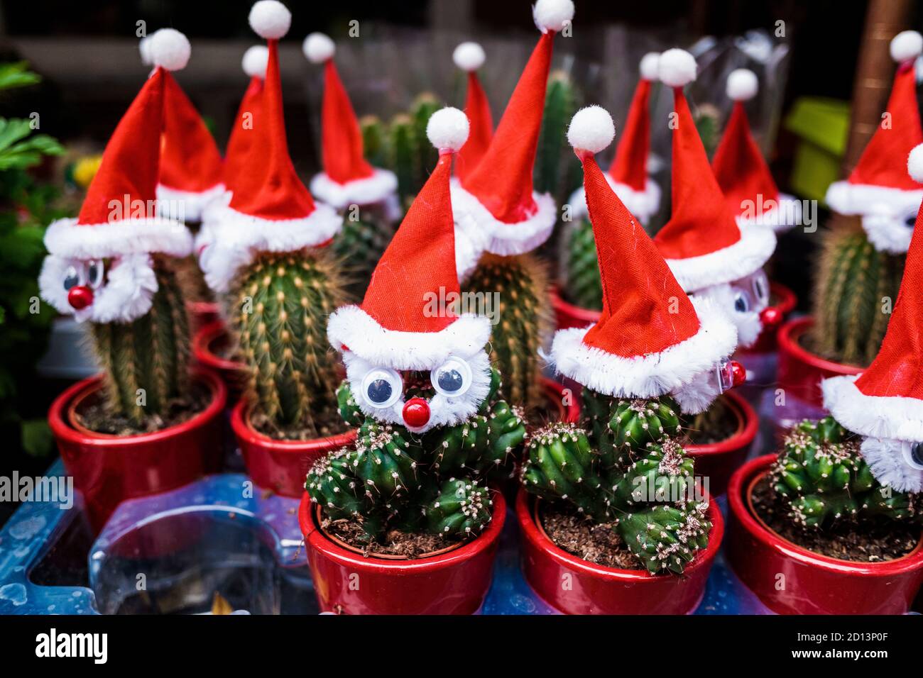 Christmas decorated cactus fotografías e imágenes de alta resolución - Alamy