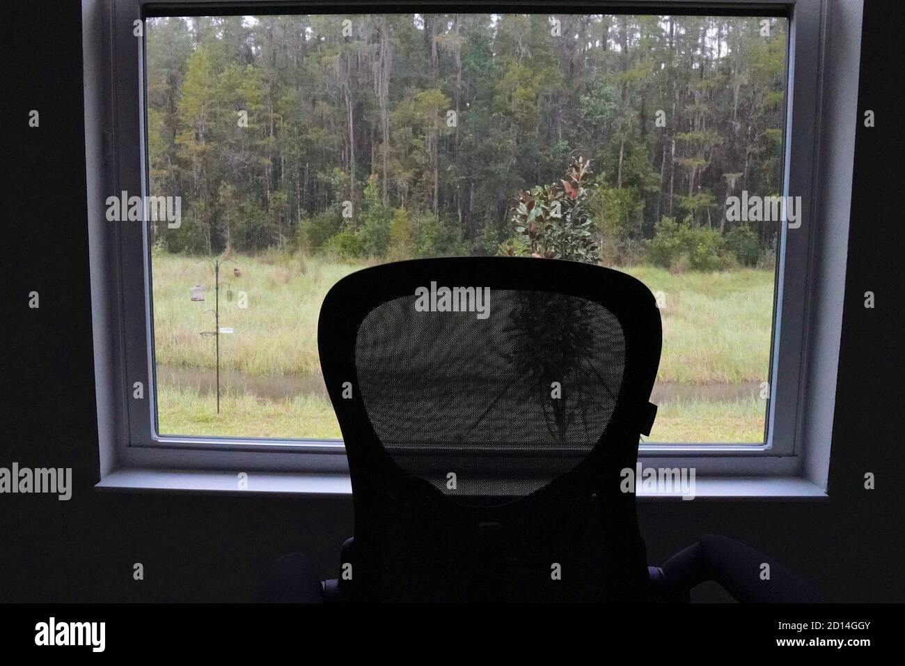 Silla vacía frente a una ventana con vistas a un bosque Foto de stock