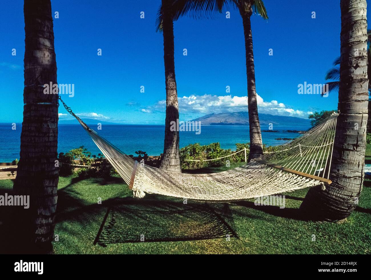 Una hamaca al aire libre suspendida entre dos palmeras simboliza la  relajación que los turistas anticipan cuando viajan a las islas tropicales  hawaianas en el Océano Pacífico Norte a unas 2,400 millas