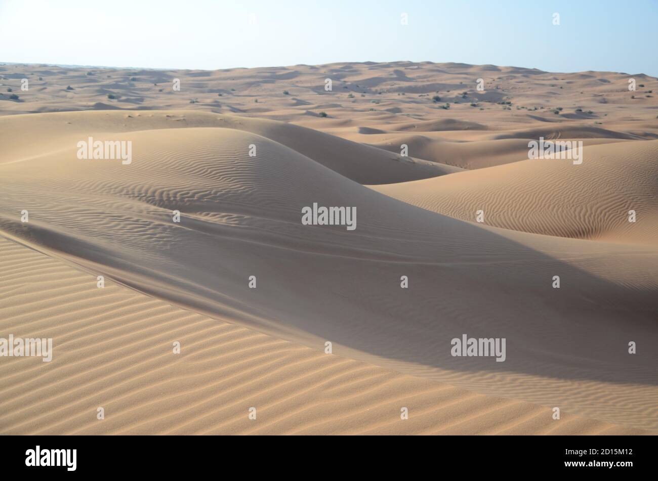Paisaje de dunas de arena del desierto bajo la luz del sol - perfecto
