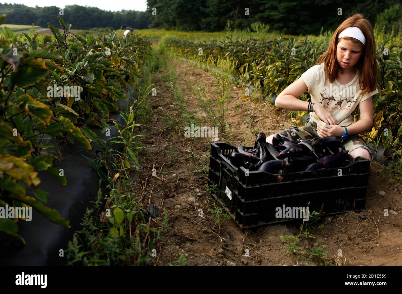 Modelo Csa Fotos e Imágenes de stock Alamy