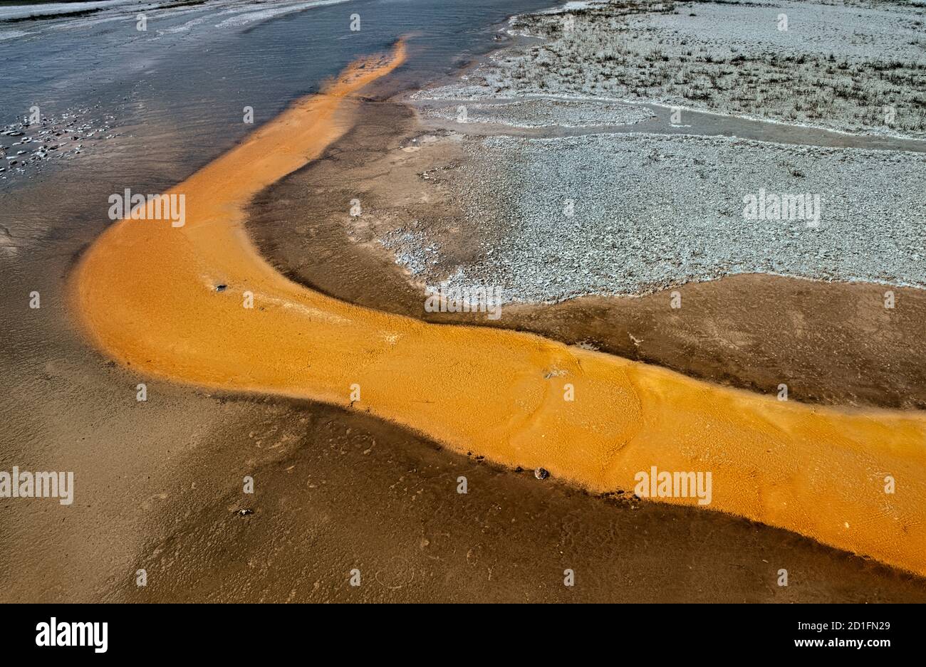 Colchoneta bacteriana, Cuenca del Geyser Superior, Parque Nacional Yellowstone, Wyoming, EE.UU Foto de stock