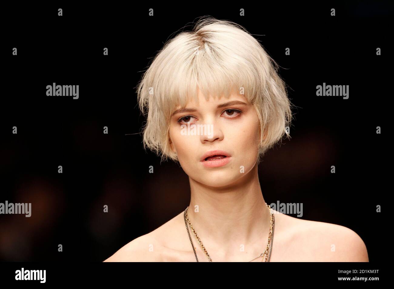 Pixie Bob Fotos E Imagenes De Stock Alamy