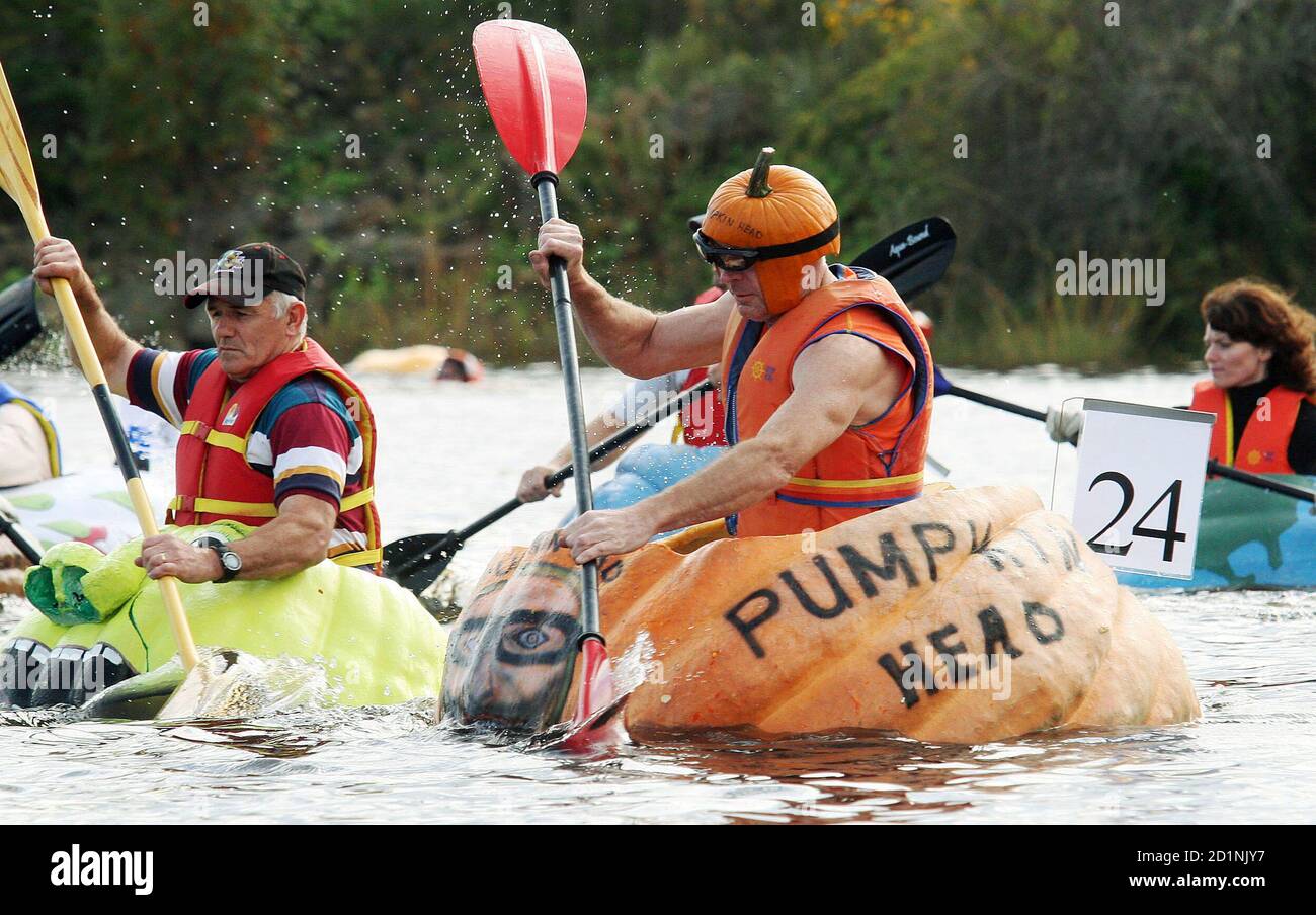 Paddlers guide their giant pumpkins across Lake Pesaquid in Windsor, Nova Scotia October 12, 2008. The town held its 10th annual Pumpkin Regatta with 51 entries. REUTERS/Paul Darrow (CANADA) Foto de stock