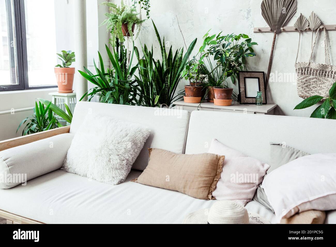 Sofá ligero con almohadas contra una pared gris. Hay muchos potes de plantas verdes detrás del sofá. Foto de stock