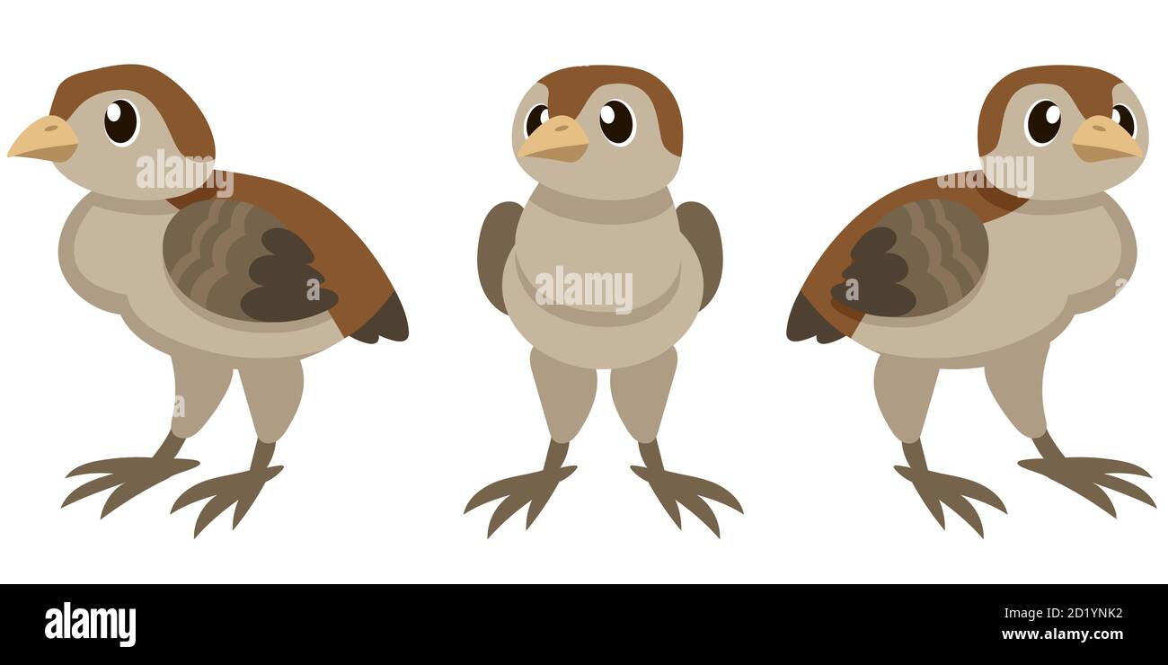pavo bebé en diferentes poses. Animal de granja en estilo de dibujos  animados Imagen Vector de stock - Alamy