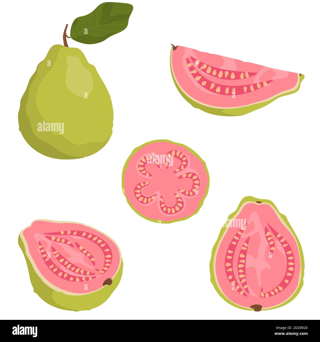 Guayaba rosa Imágenes vectoriales de stock - Alamy Guayaba rosa Imágenes vectoriales de stock - Alamy