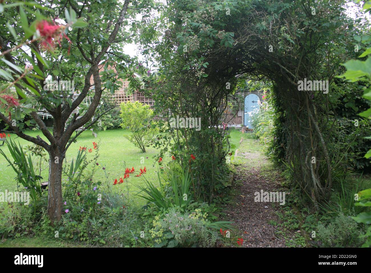 Vista del paisaje en verano jardín rural inglés con peral árbol con fruta lavanda rosa arco arbusto flores hierba césped y plantas y puerta secreta Foto de stock