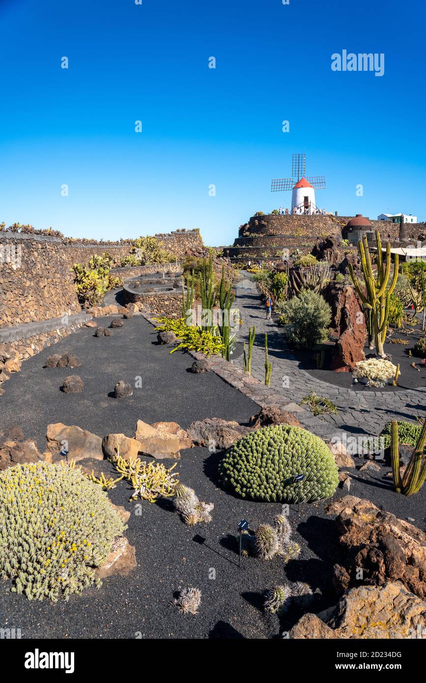 Jardín de Cactus, Lanzarote, Islas Canarias, España Foto de stock