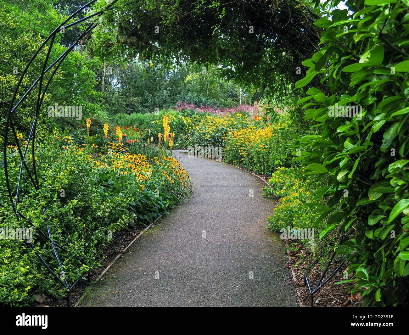 Camino a través de un hermoso jardín de flores mixtas bordes adentro verano Foto de stock