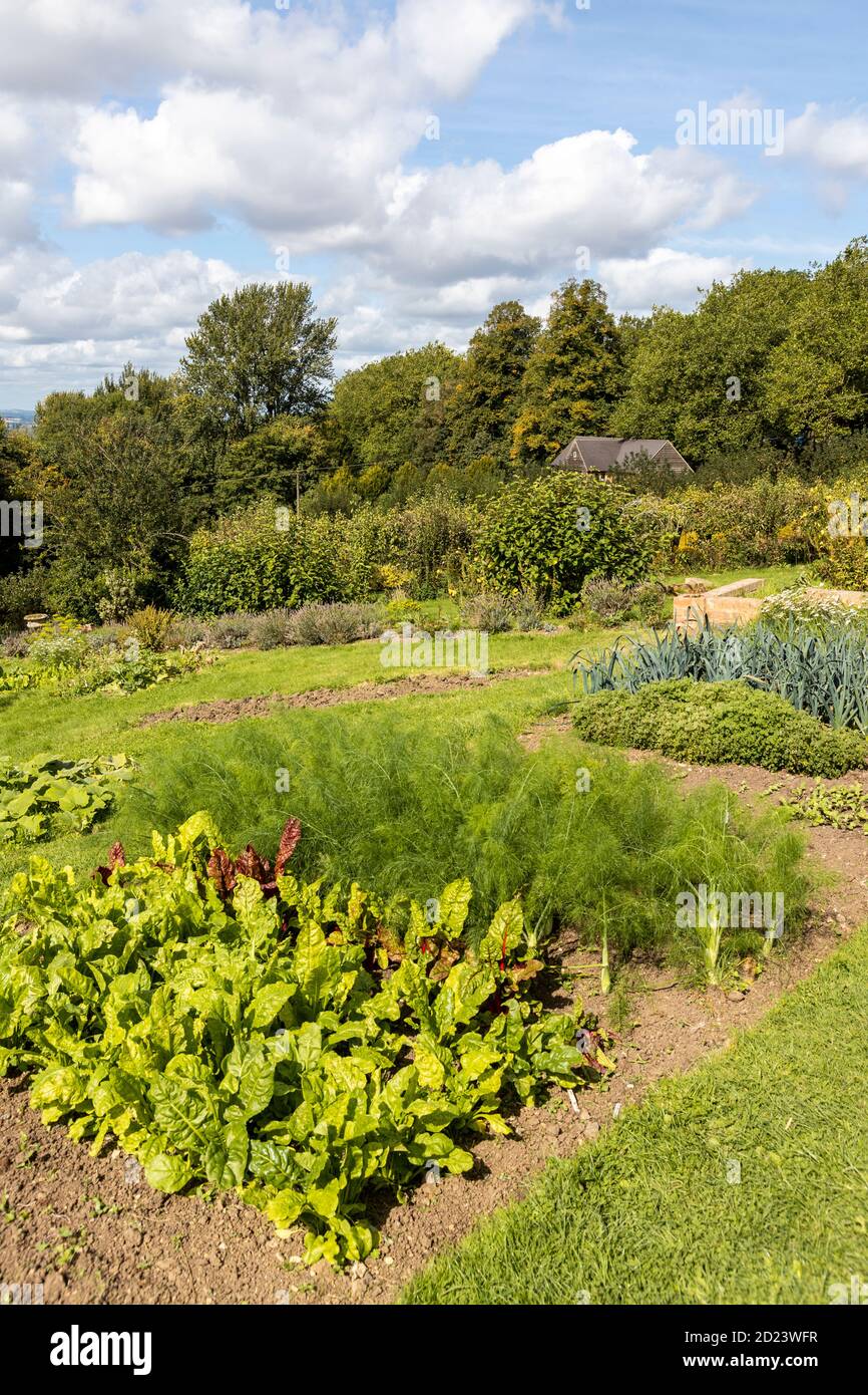 Jardín amurallado del monasterio de Prinknash en los terrenos de la abadía de Prinknash en los Cotswolds cerca de Upton St Leonards, Gloucestershire, Reino Unido Foto de stock