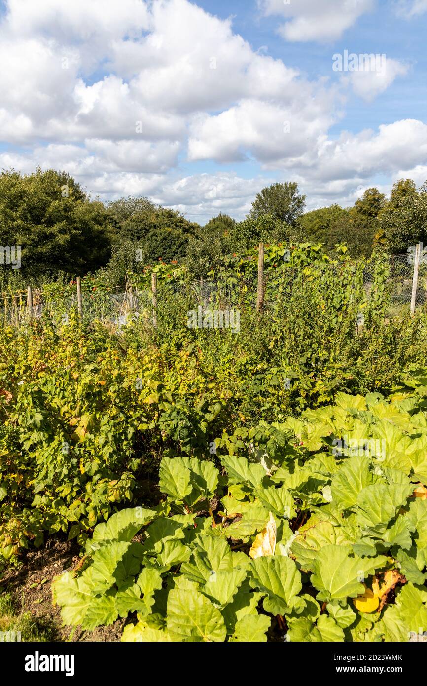 Jardín amurallado del monasterio de Prinknash en los terrenos de la abadía de Prinknash en los Cotswolds cerca de Upton St Leonards, Gloucestershire, Reino Unido Foto de stock
