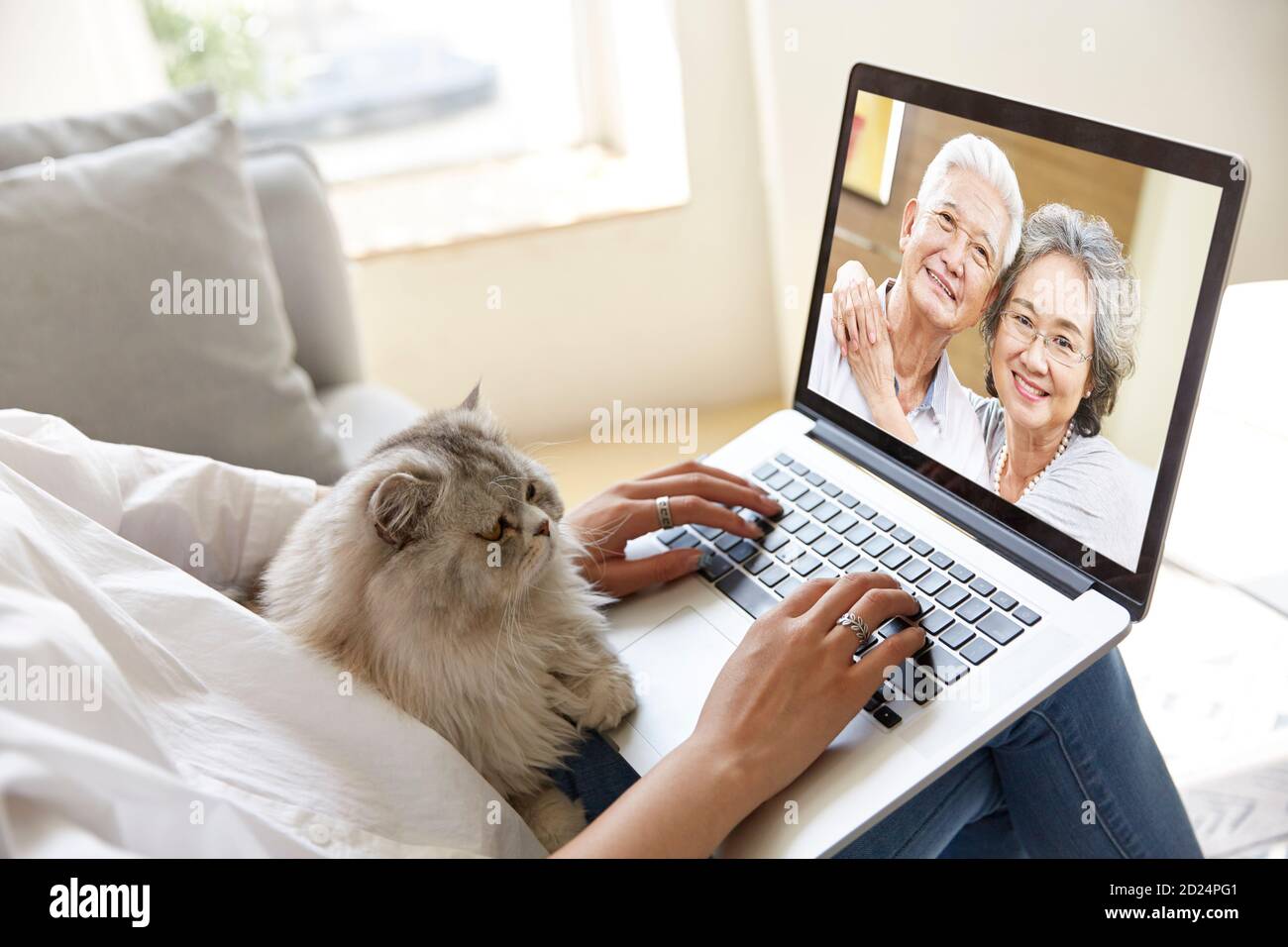joven hija adulta asiática que se aloja en casa con gato hablar con padres mayores en línea a través de video chat utilizando el portátil ordenador Foto de stock