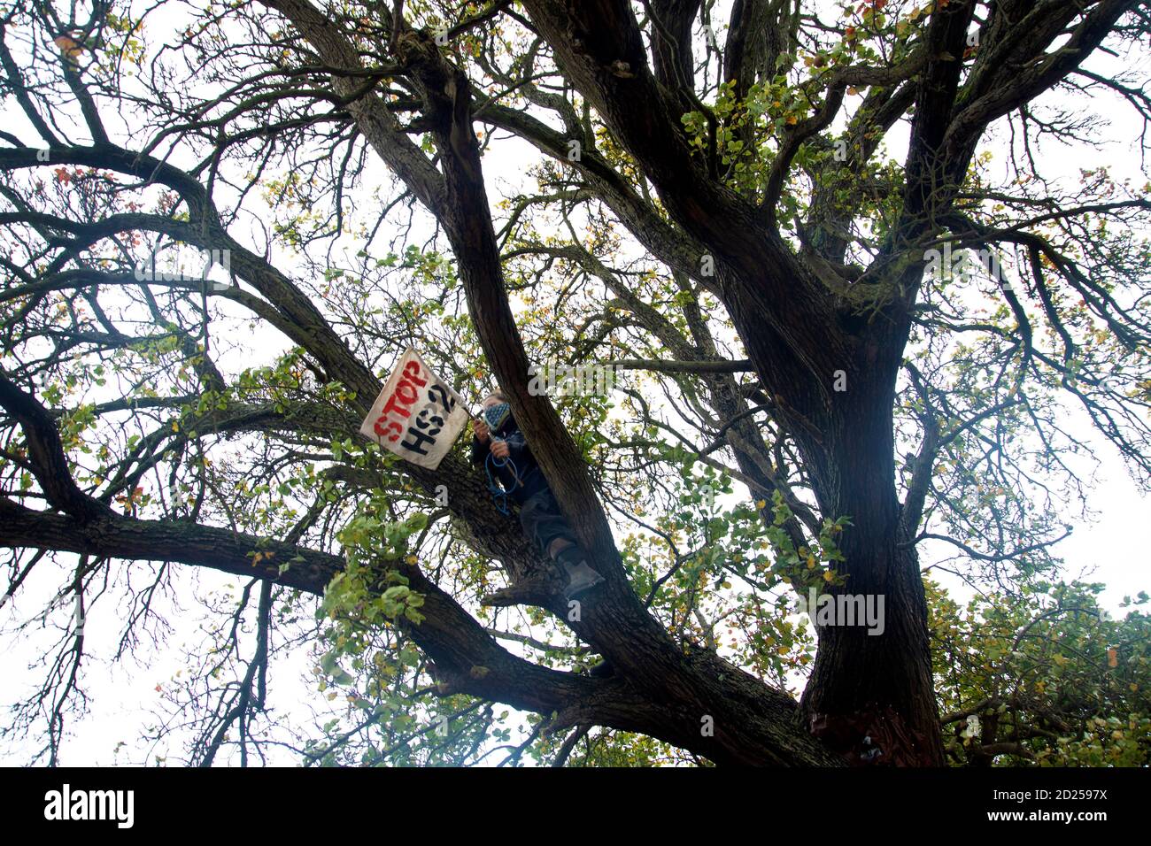 Warwickshire, Reino Unido. 5 de octubre de 2020. Los manifestantes HS2 rompen a través de barricadas para llamar la atención sobre la destrucción de un árbol de 250 años de edad, del año 2015, el árbol Cubbington Pear 05 oct 2020. Un protestor logra escabullirse detrás de la seguridad para subir el árbol donde se agita un estandarte Stop HS2 crédito: Denise Laura Baker/Alamy Live News Foto de stock